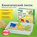 Кинетический Умный песок "Морские фантазии" с песочницей и формочками, 1 кг, BRAUBERG KIDS, 664919 664919