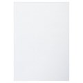 Картон белый А4 МЕЛОВАННЫЙ (белый оборот), 16 листов, в папке, BRAUBERG, 200х290 мм, 113561 113561