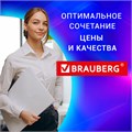 Уничтожитель (шредер) BRAUBERG S8, 4 уровень секретности, фрагменты 4х18 мм, 8 листов, корзина 16 литров, CD, 530962 530962